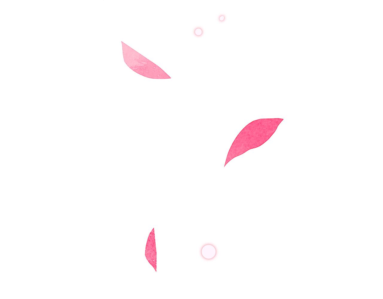 29. 星·我就是刀92