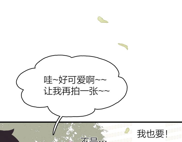 12. 此乃缘阁，吾乃花珺31