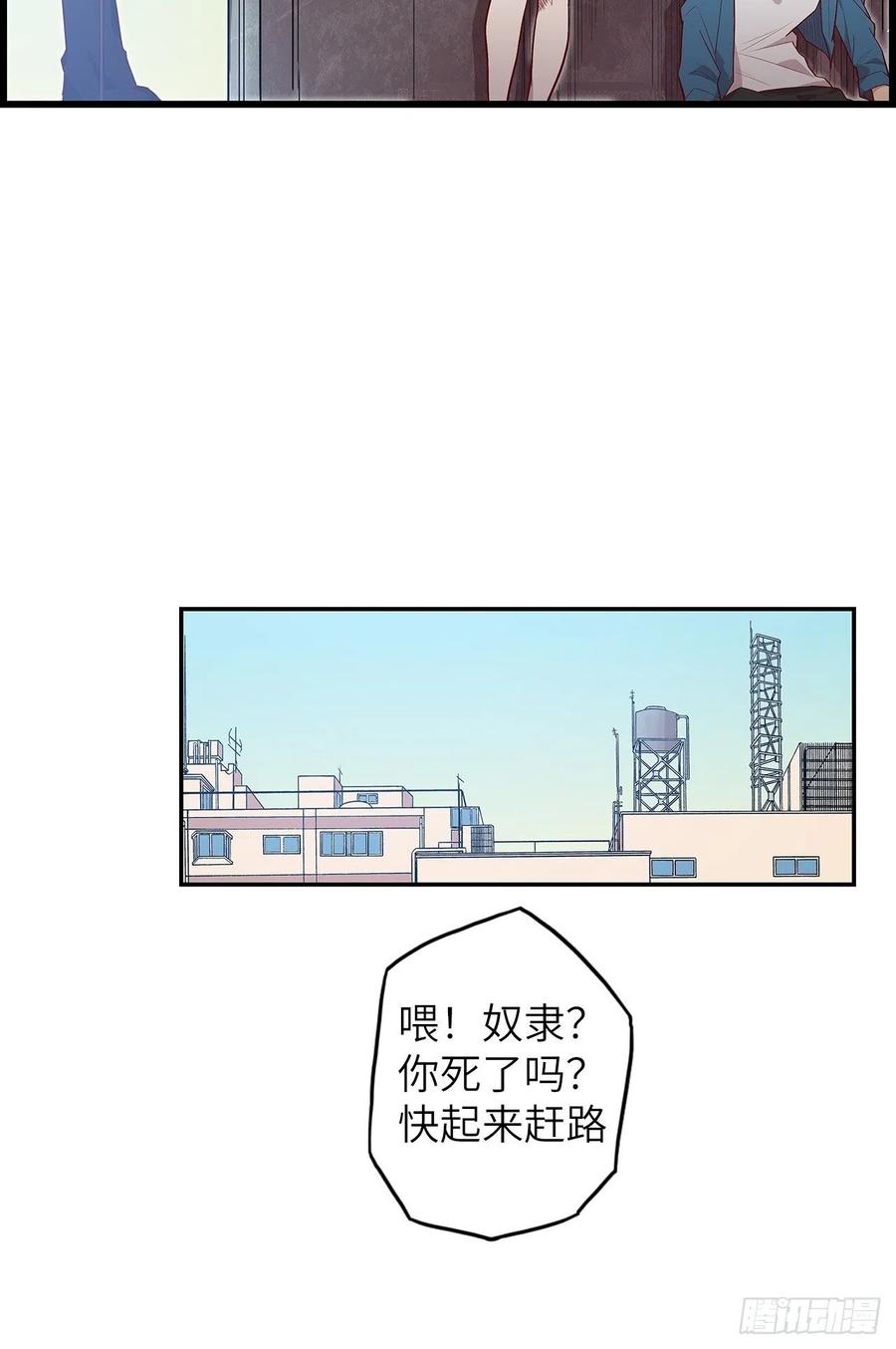 60.猎物扑网107