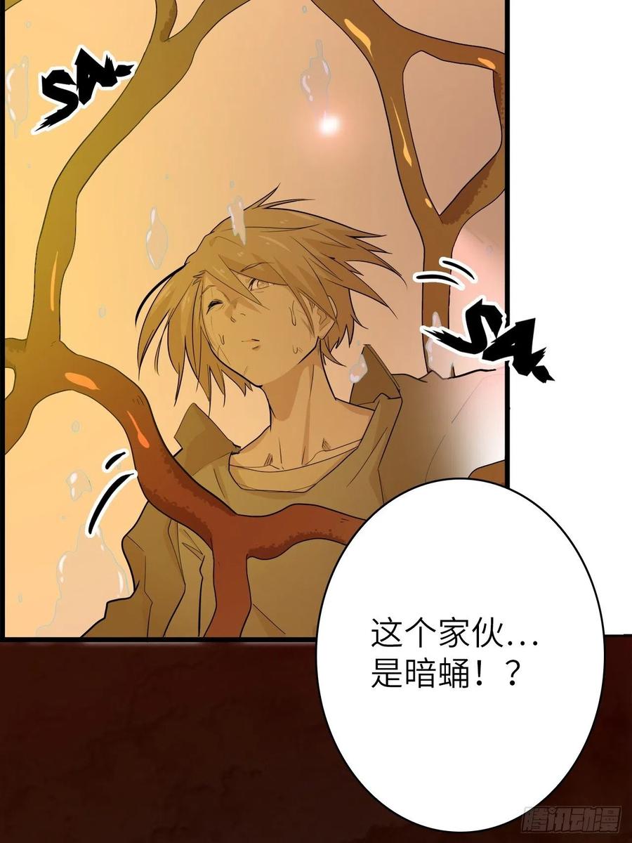 57.转生者53