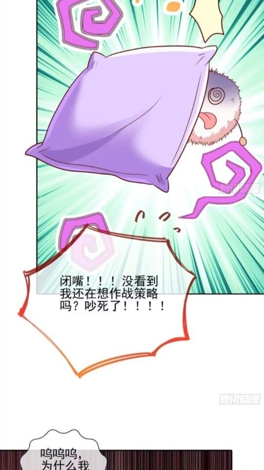 女主的反杀24
