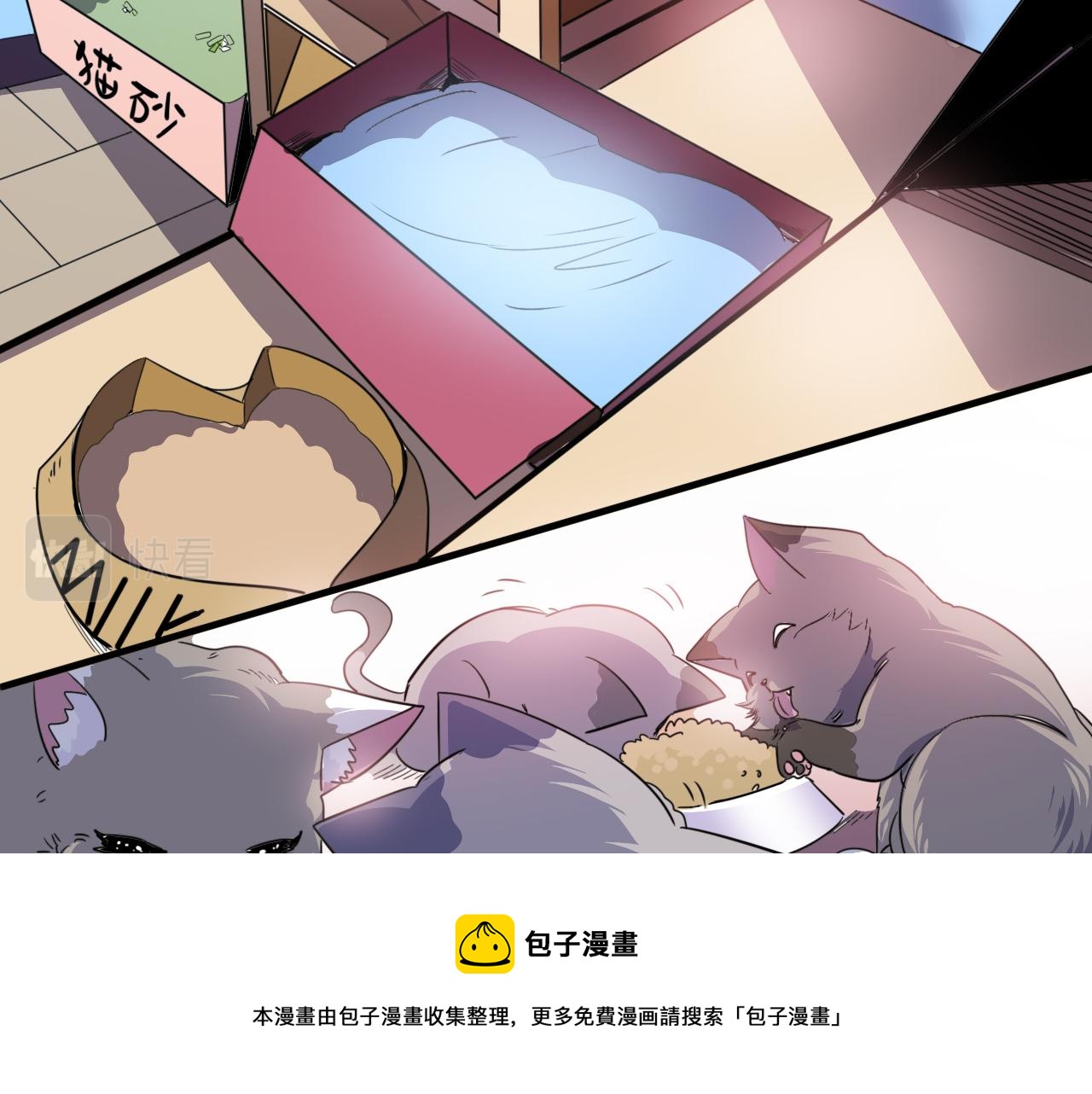 第3话 第1层: 疯狂猫咖80