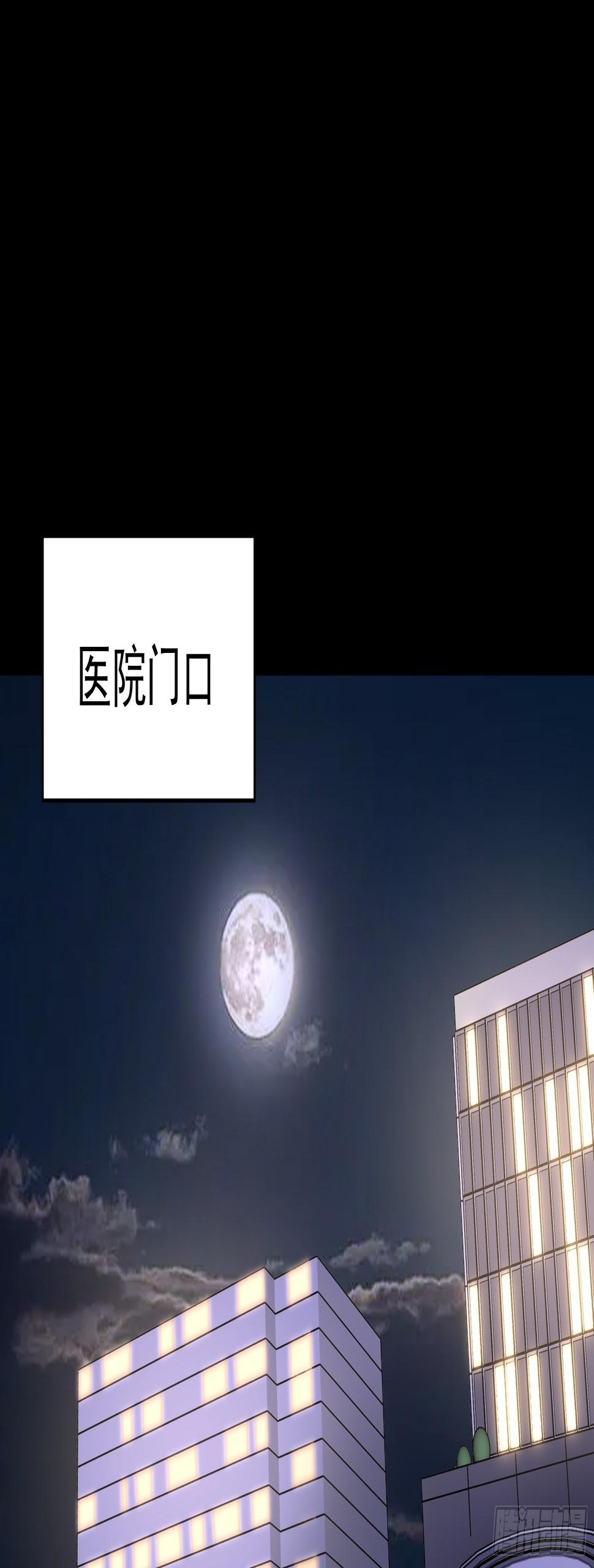 016总部，动物园1