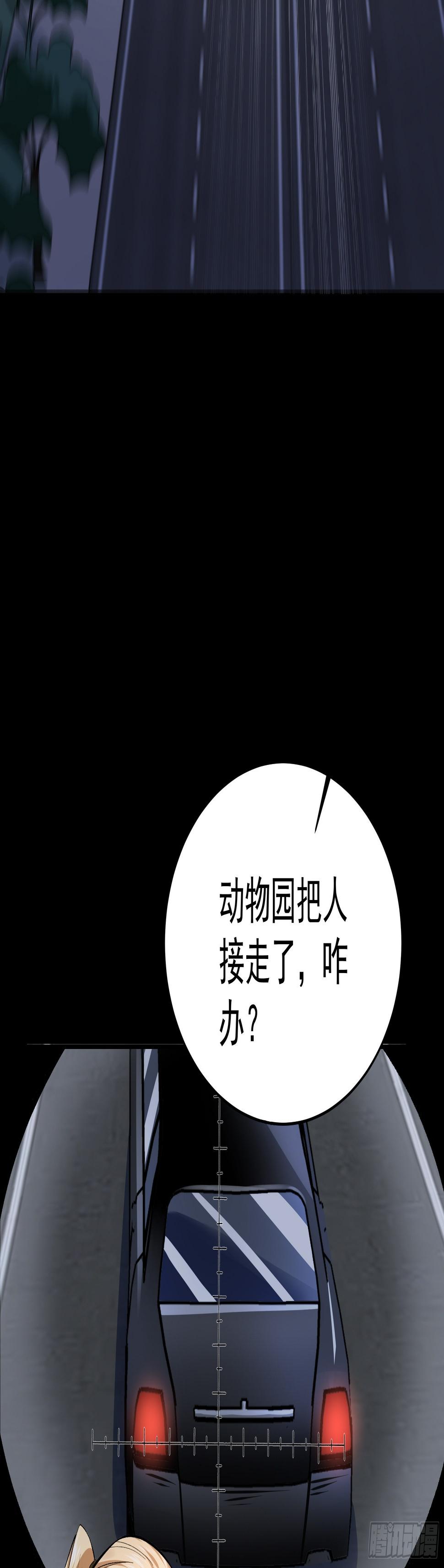 016总部，动物园10
