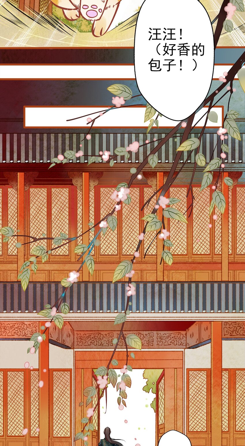 001 兄台，你看够了吗？31