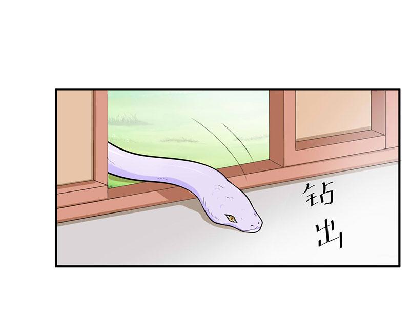 第49话我会一直陪着你2