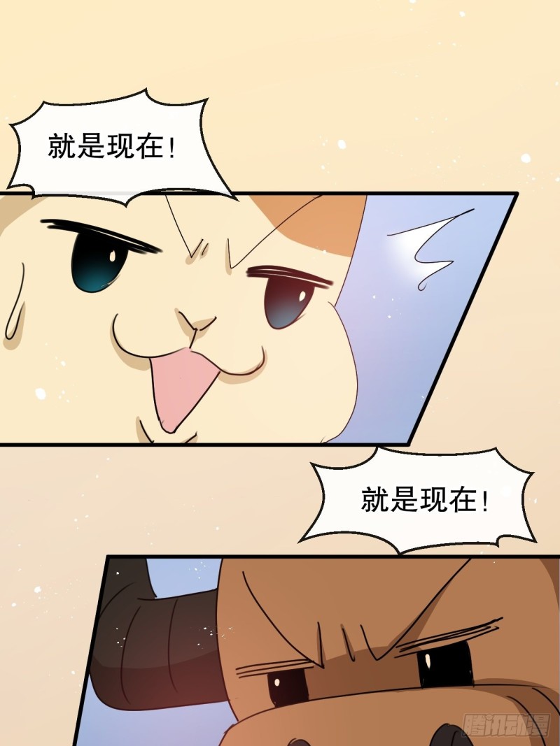 第95话 偷袭？！14
