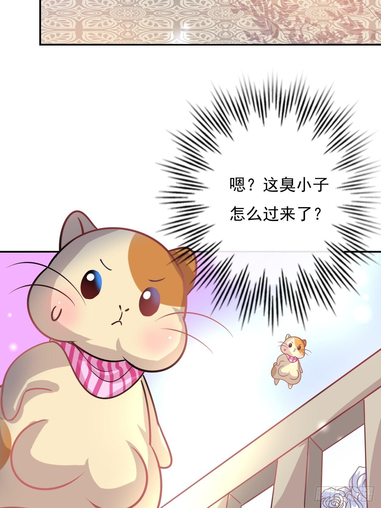 第14话 苏醒2