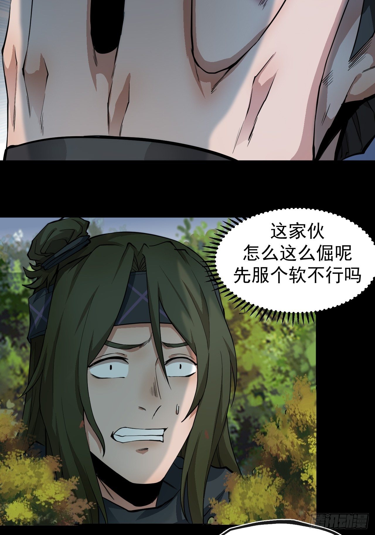 藏龙卧虎5