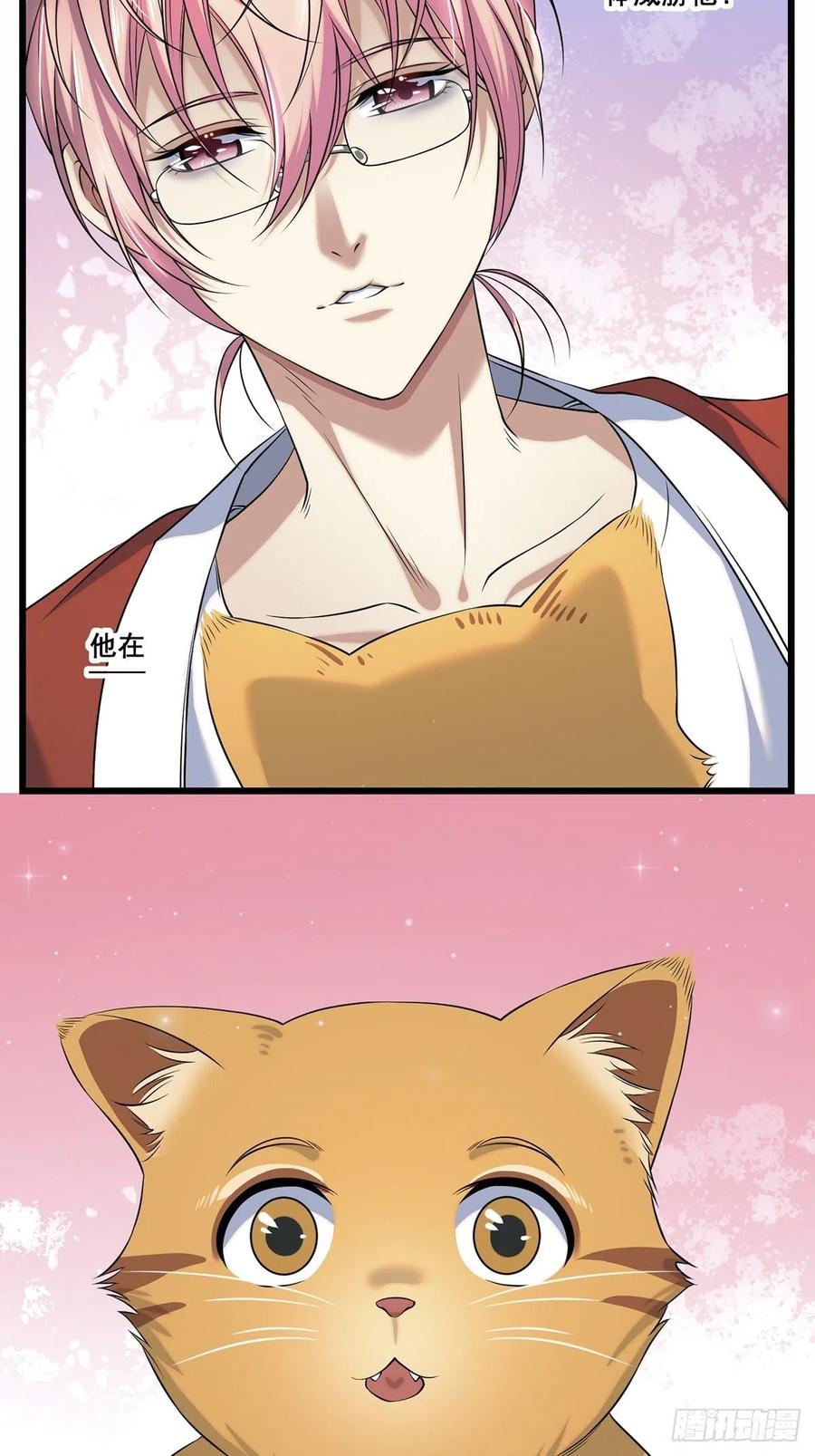 猫灵243