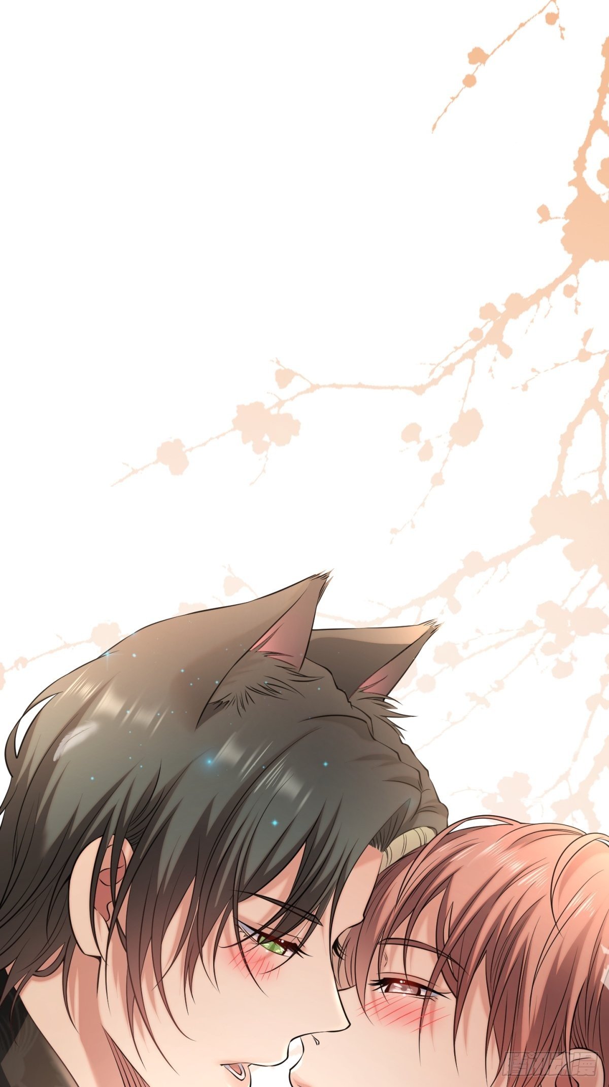 猫灵946