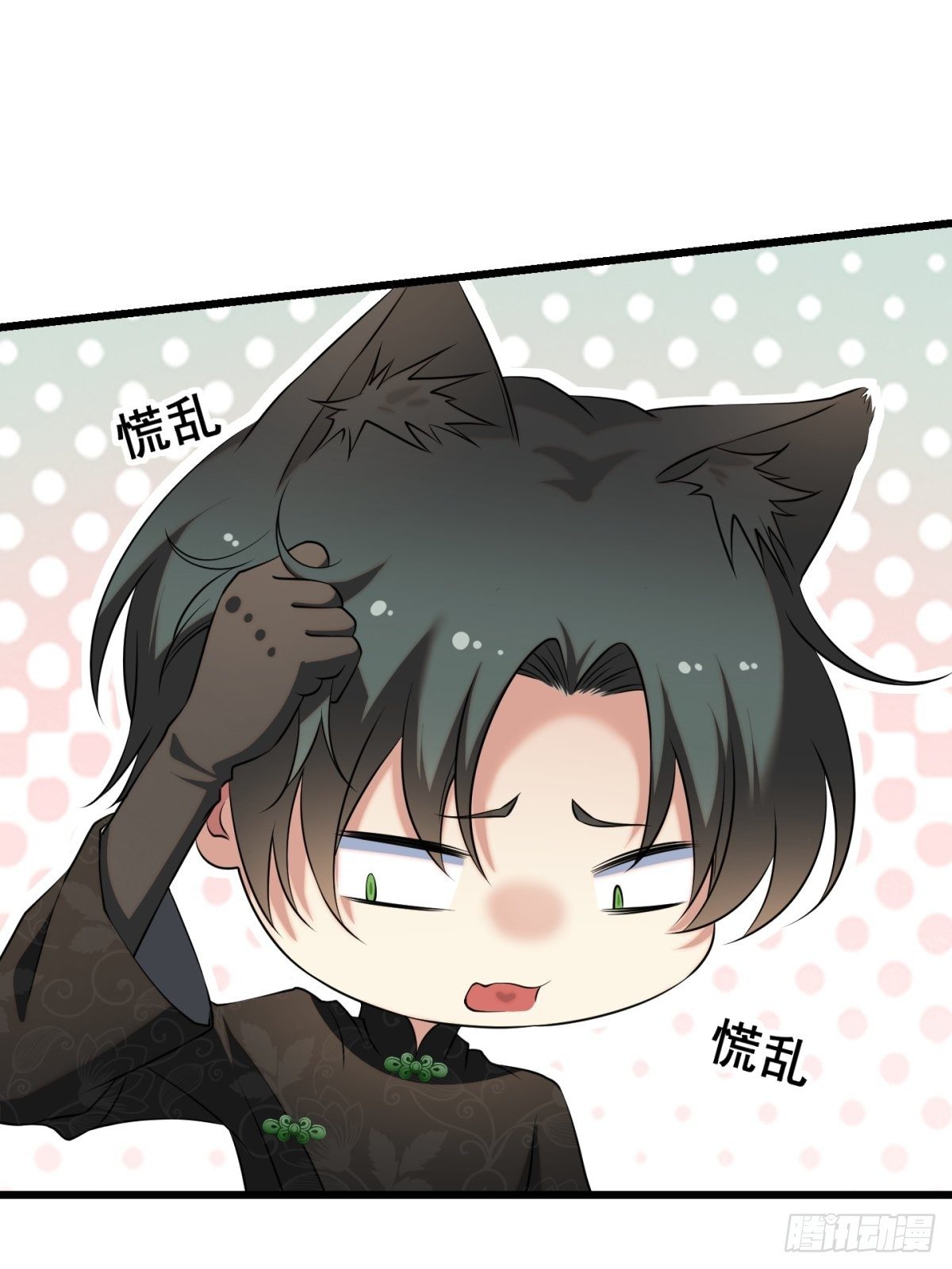 猫灵919