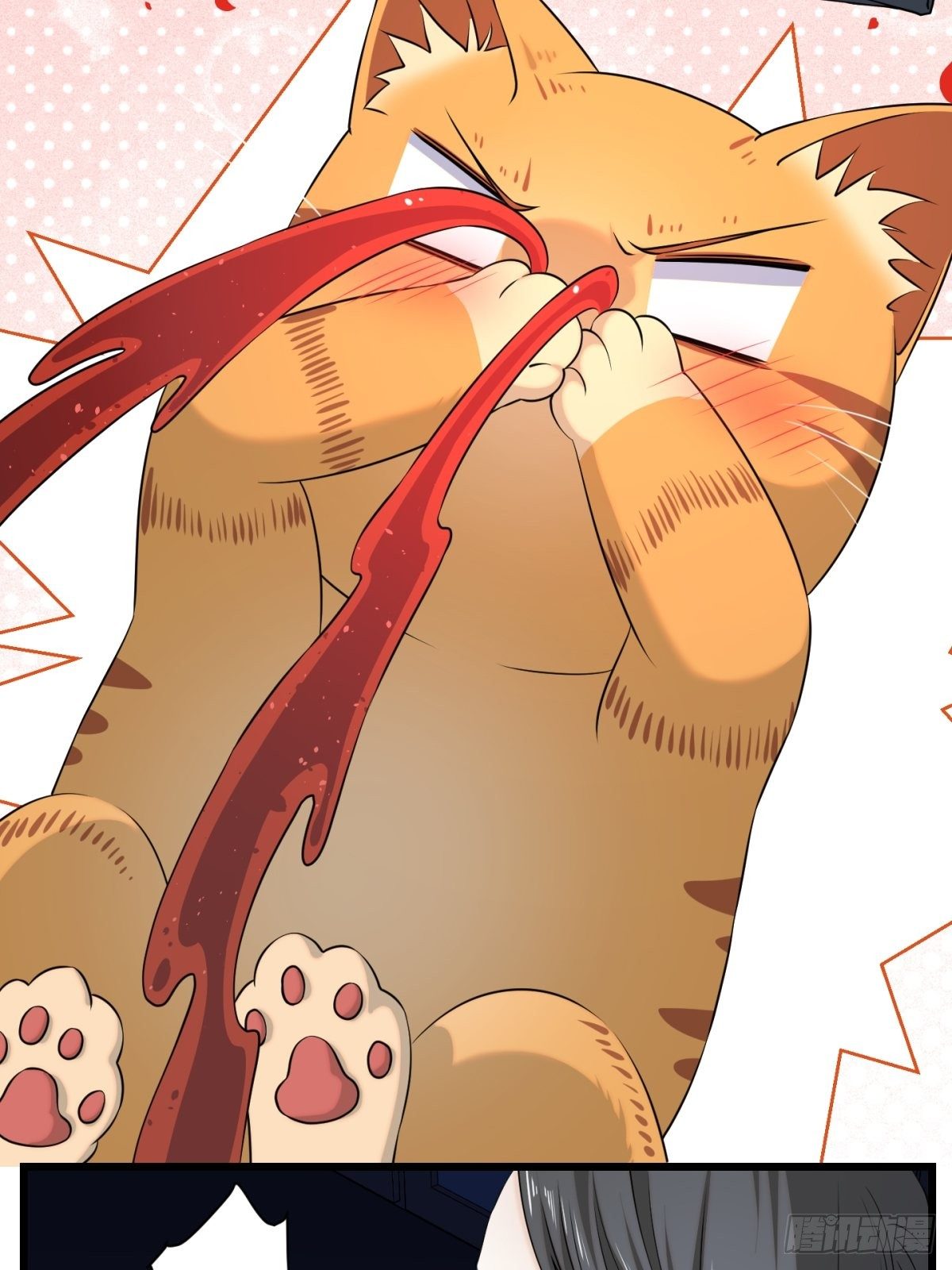 猫灵529
