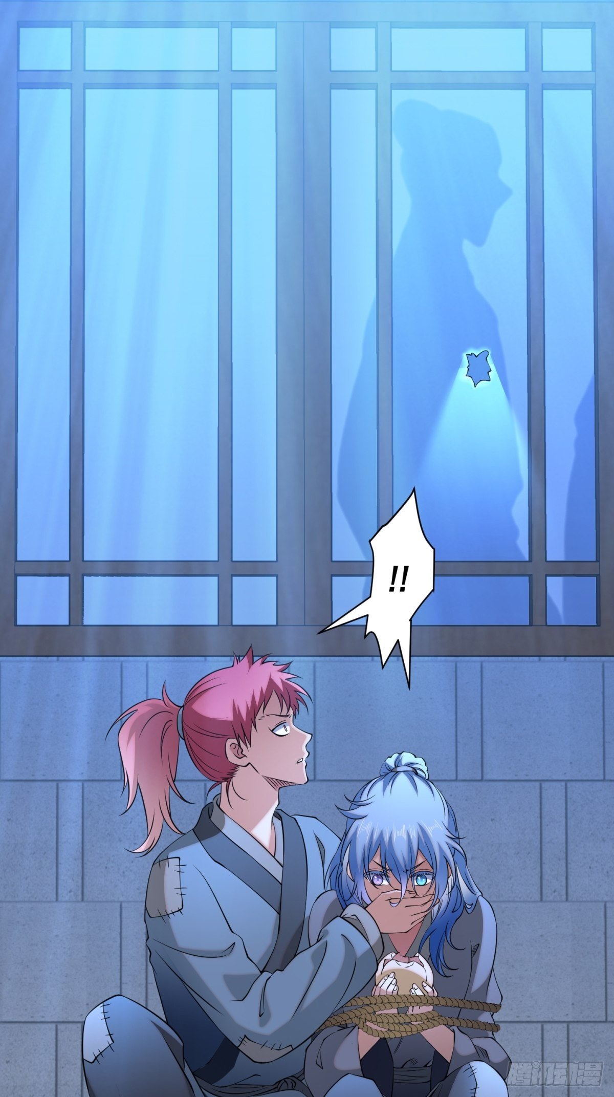 猫灵1317