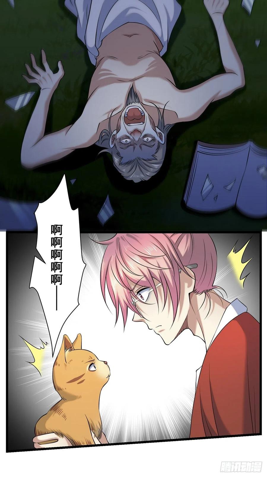猫灵258
