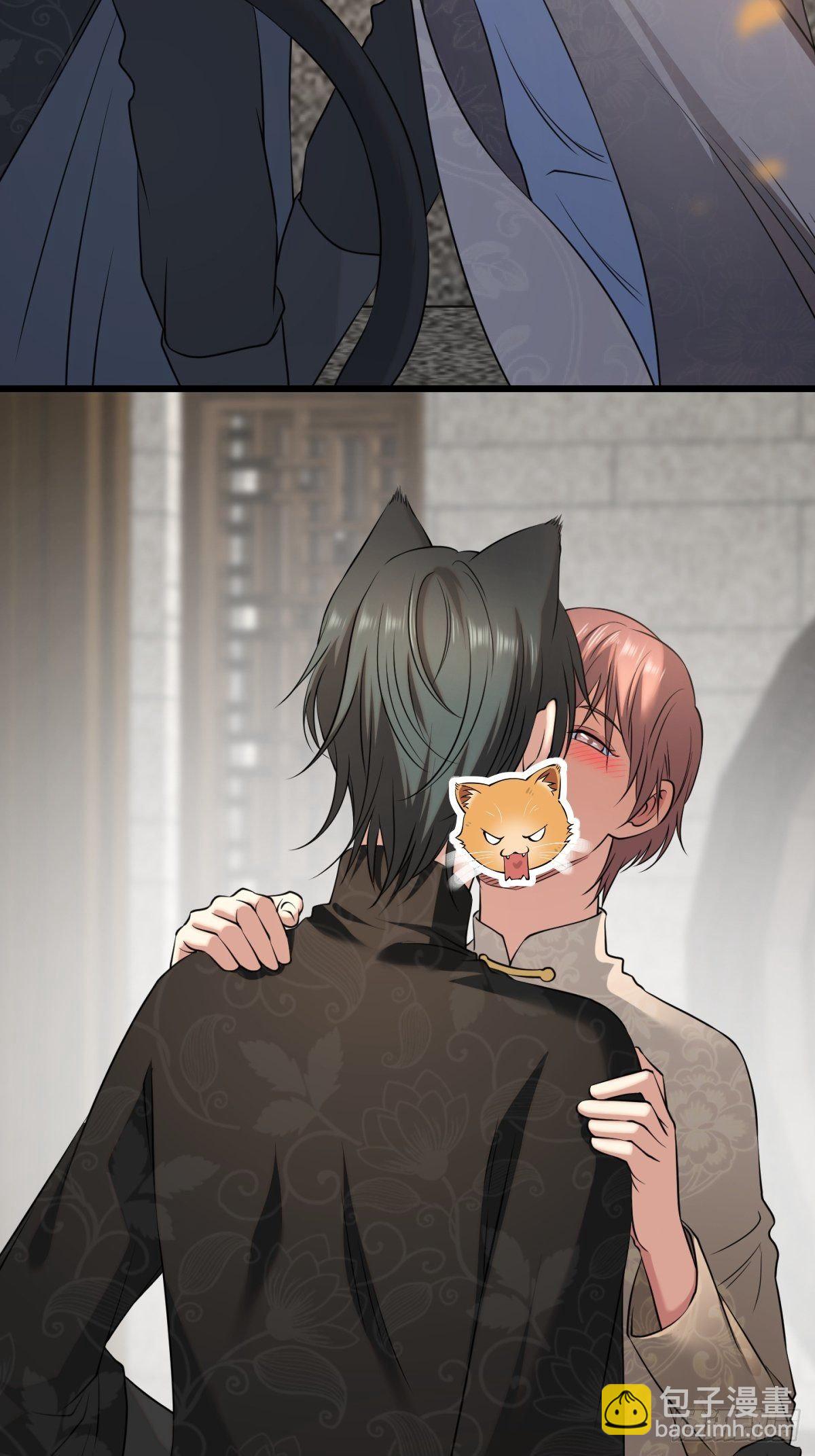 猫灵941