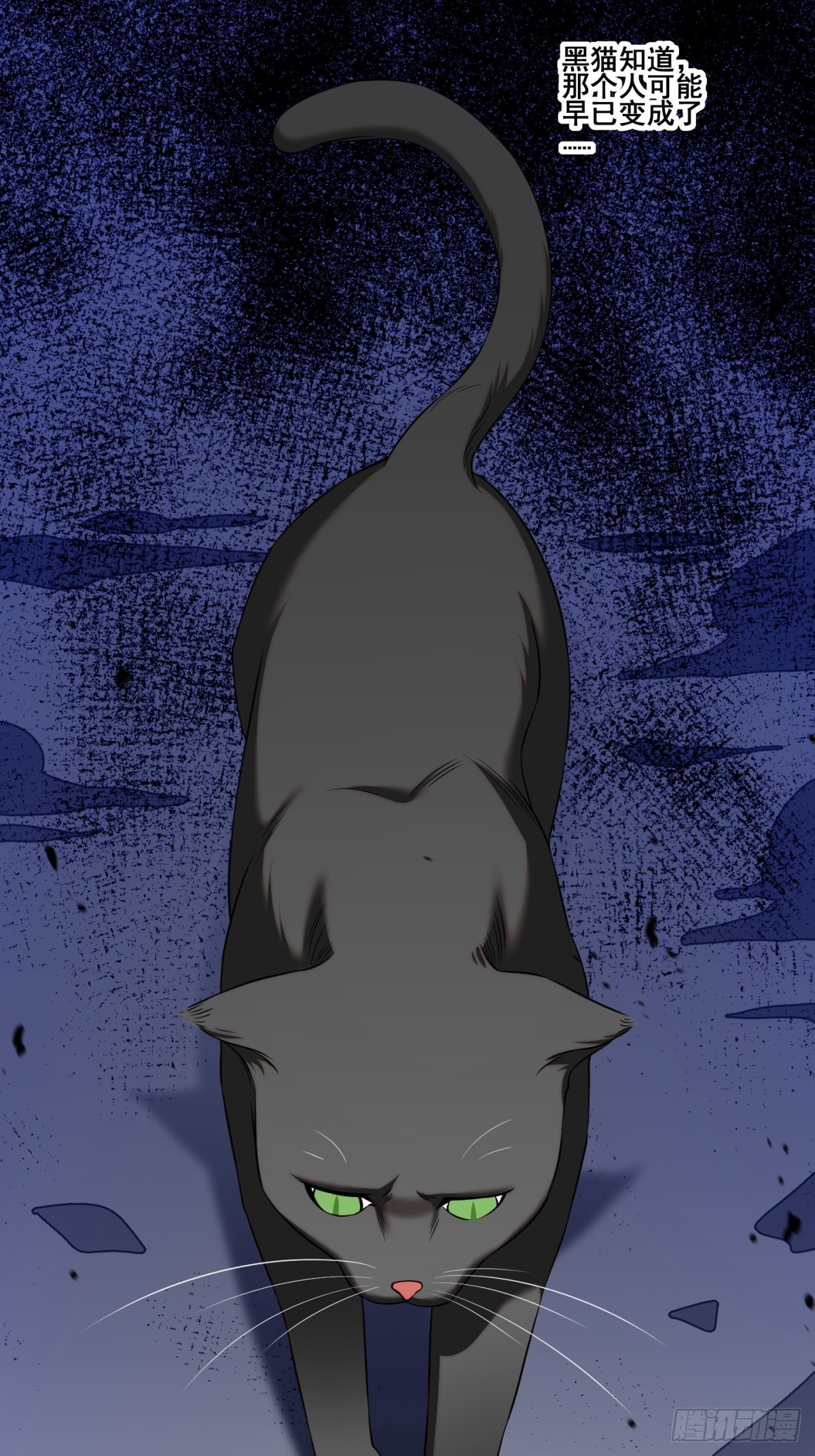 猫灵838