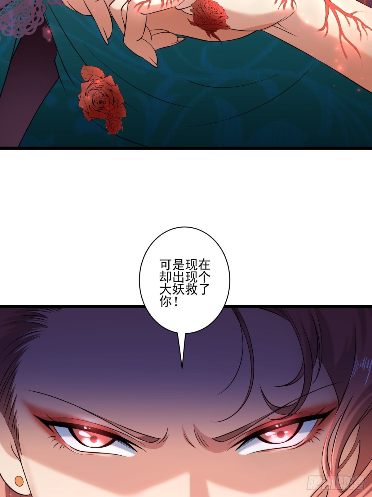 猫灵1016