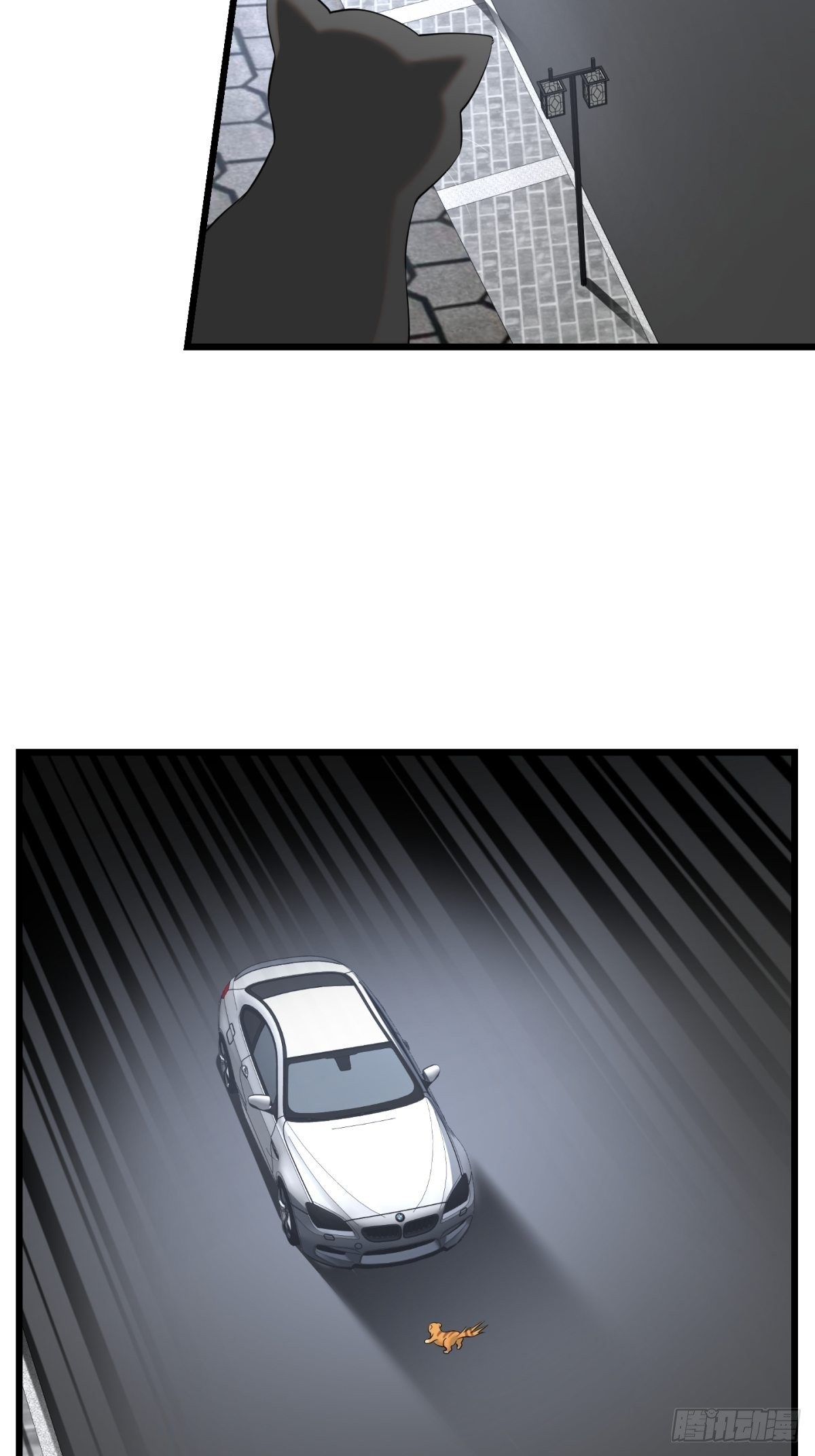 猫灵115