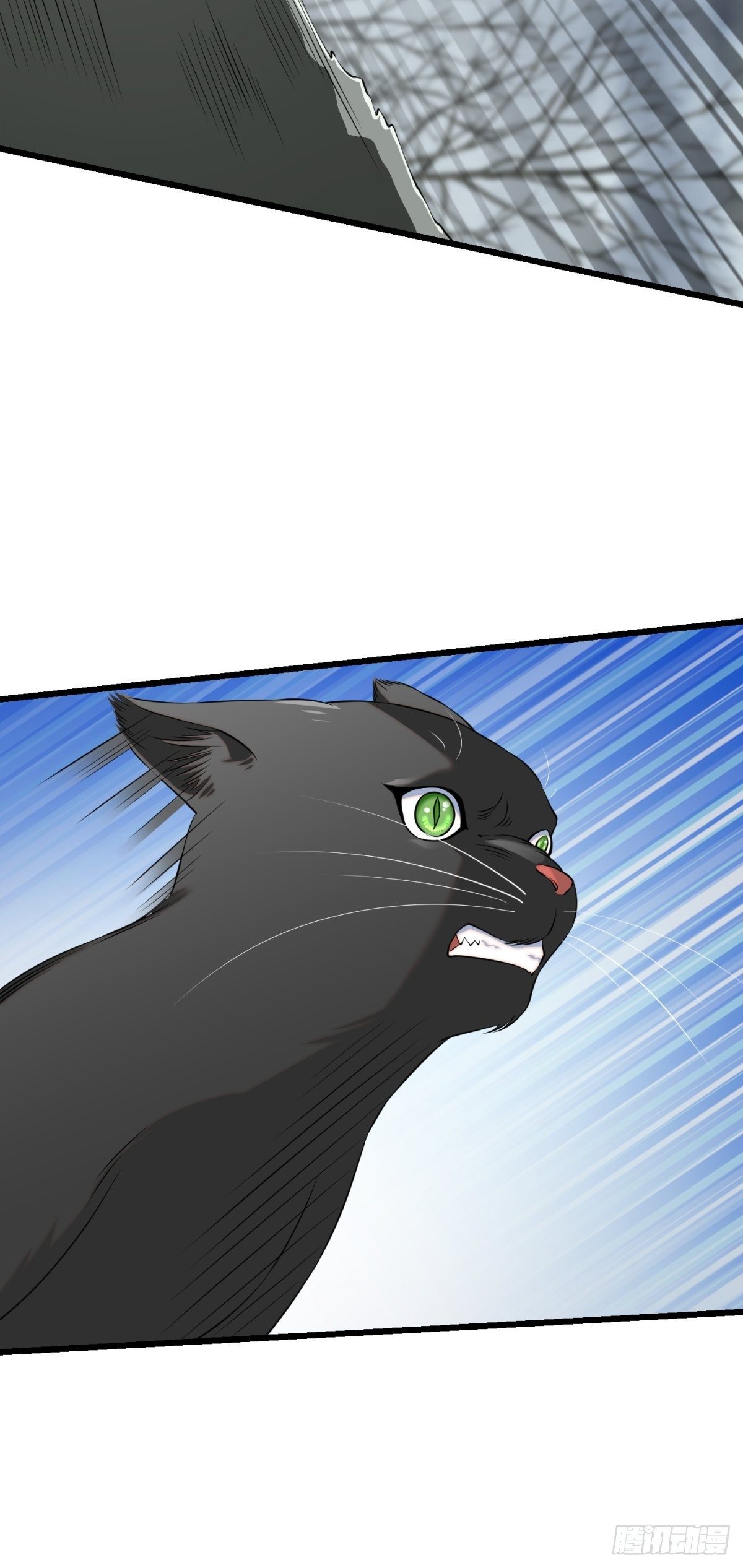 猫灵829
