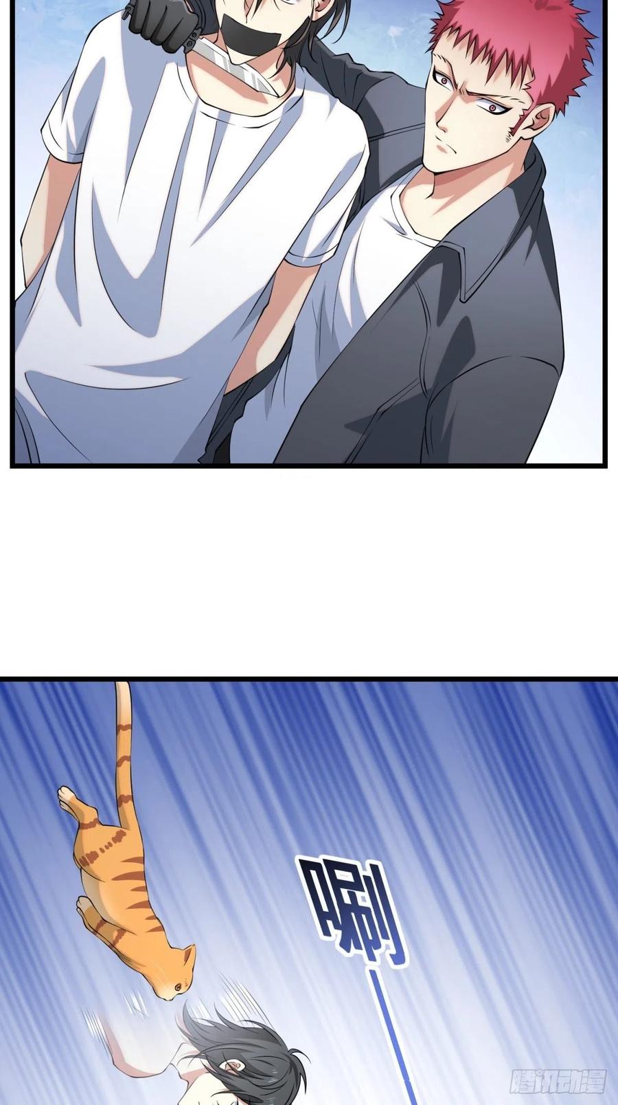 猫灵629