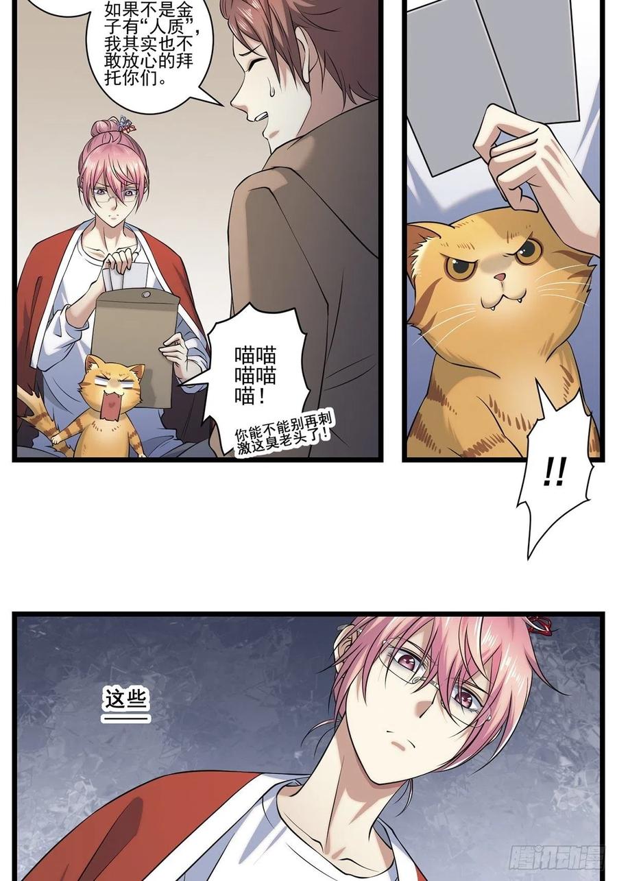 猫灵223