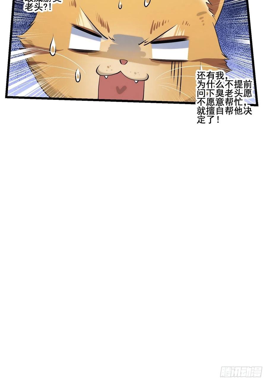 猫灵211