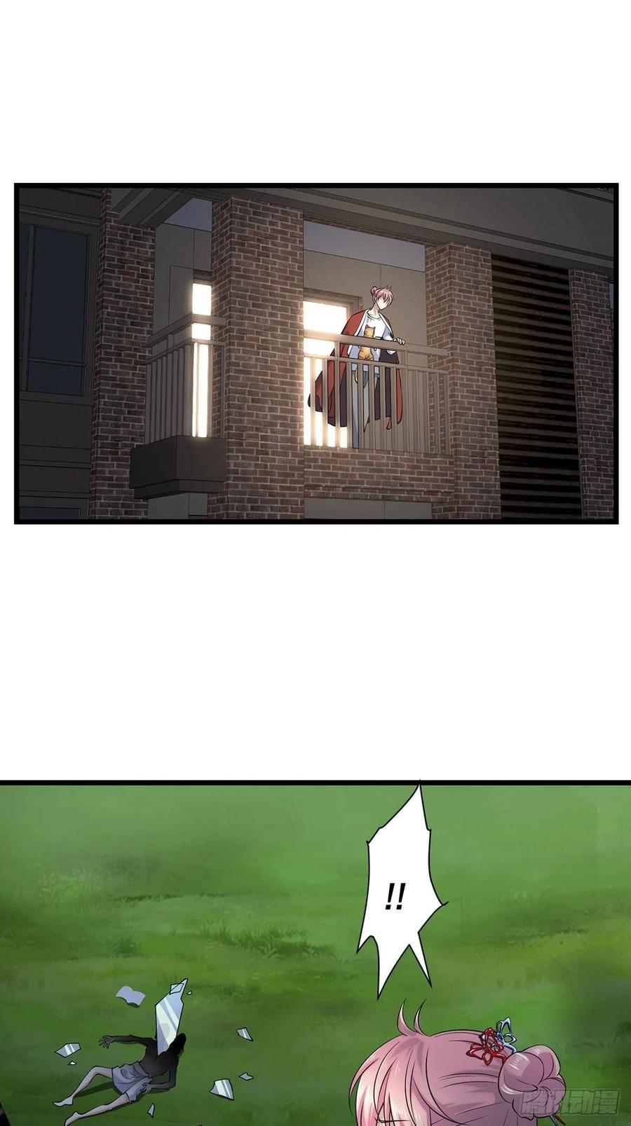 猫灵259