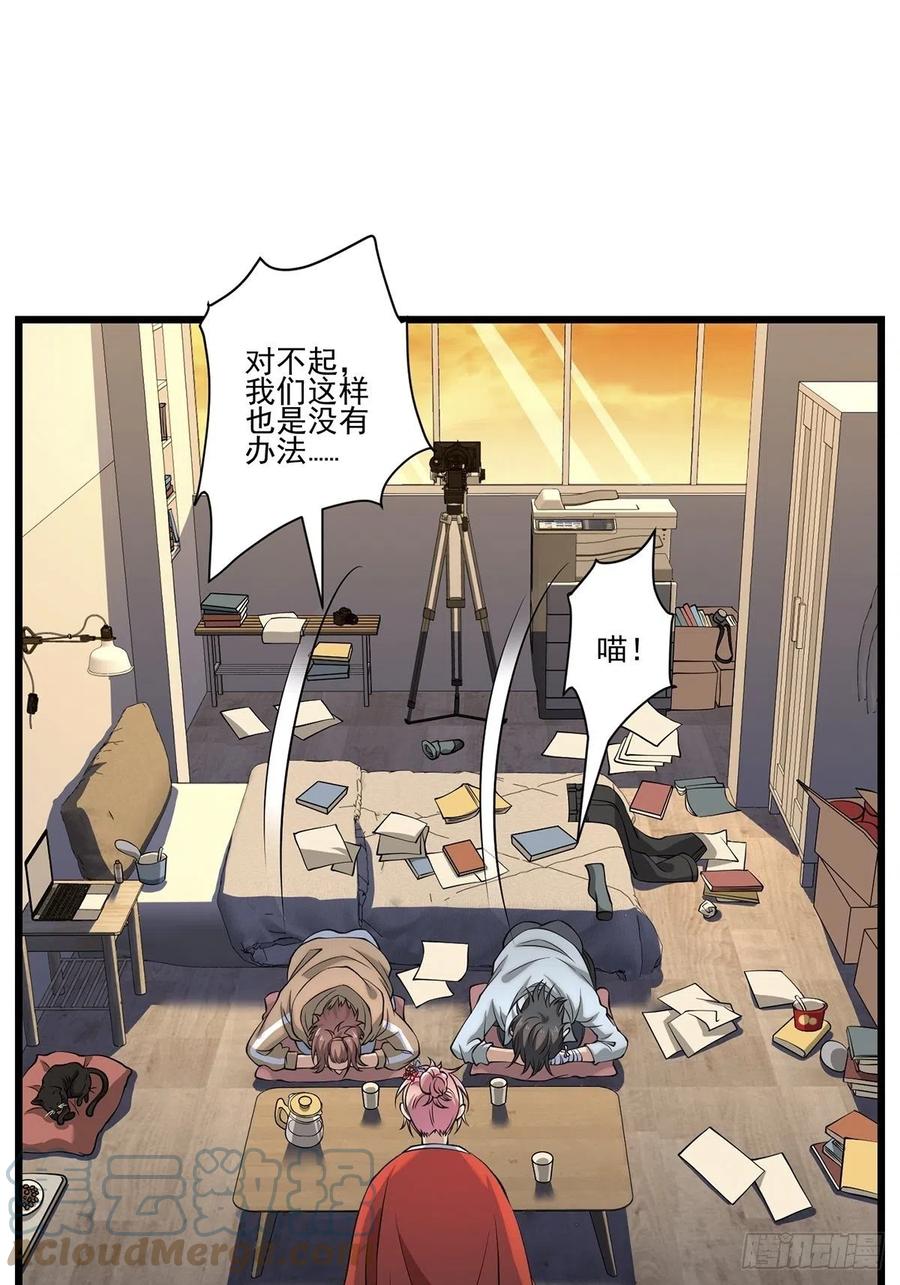 猫灵212