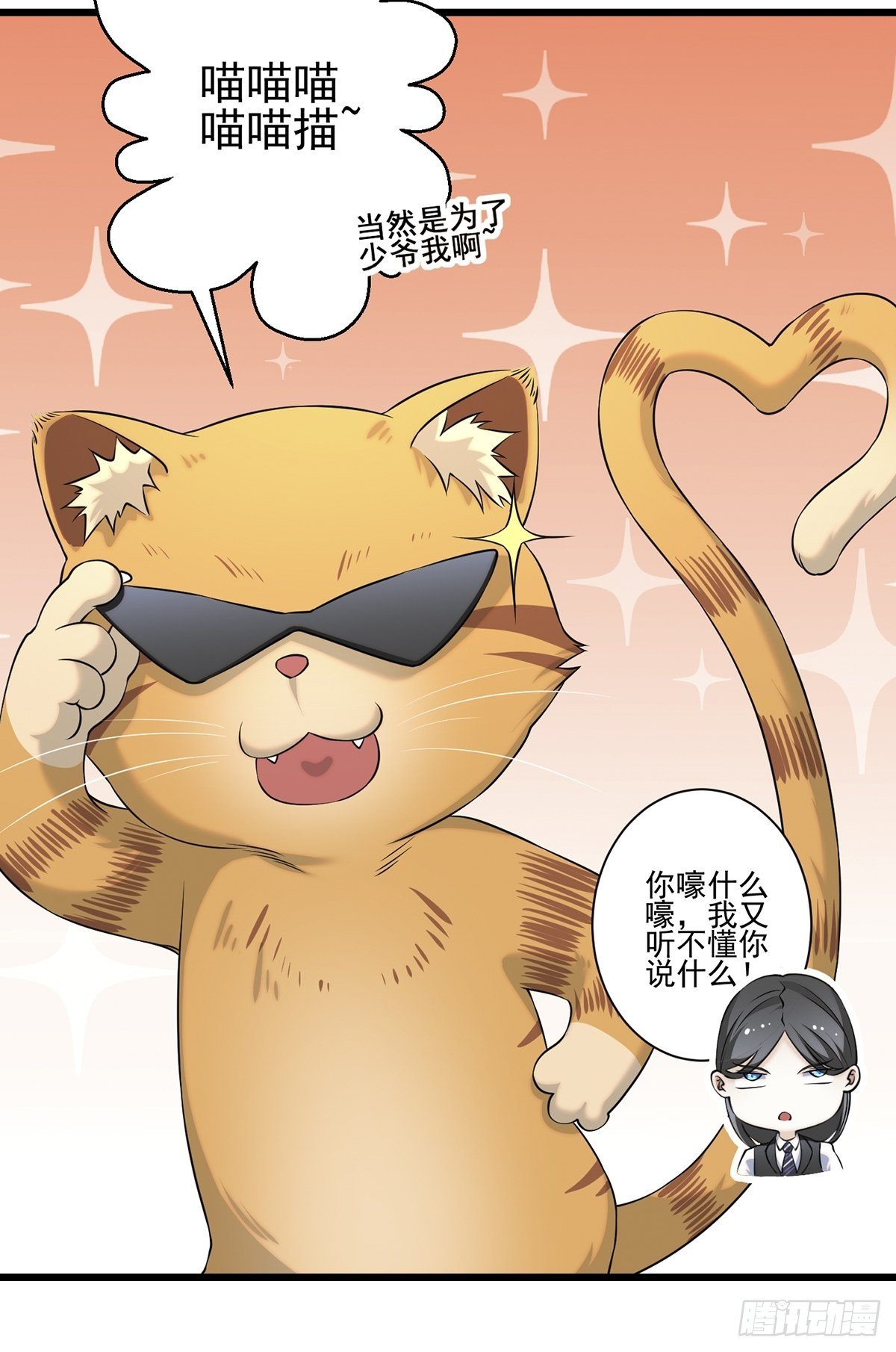 猫灵427