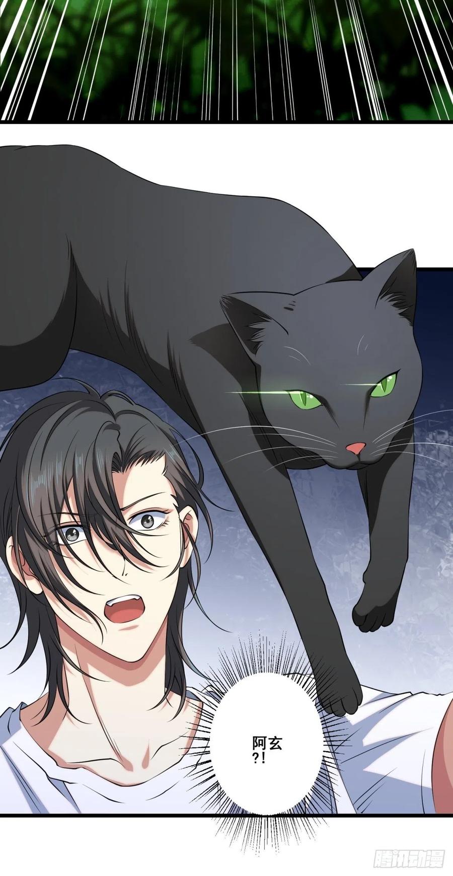 猫灵649
