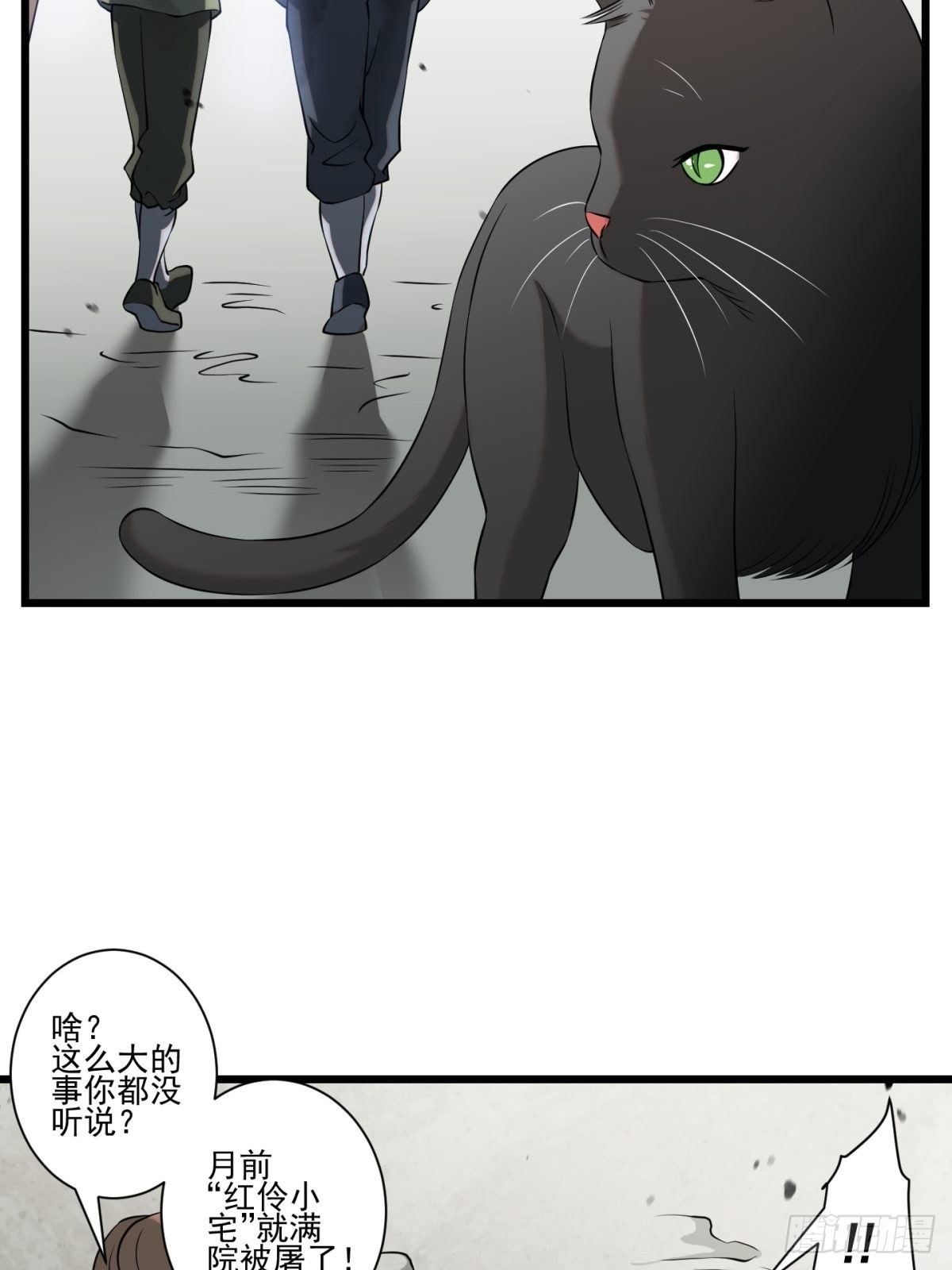猫灵826