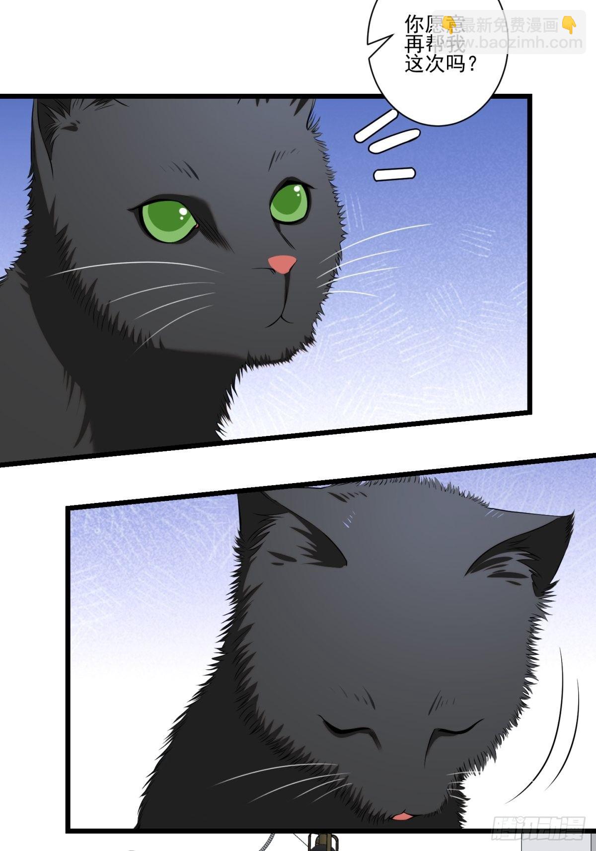 猫灵56