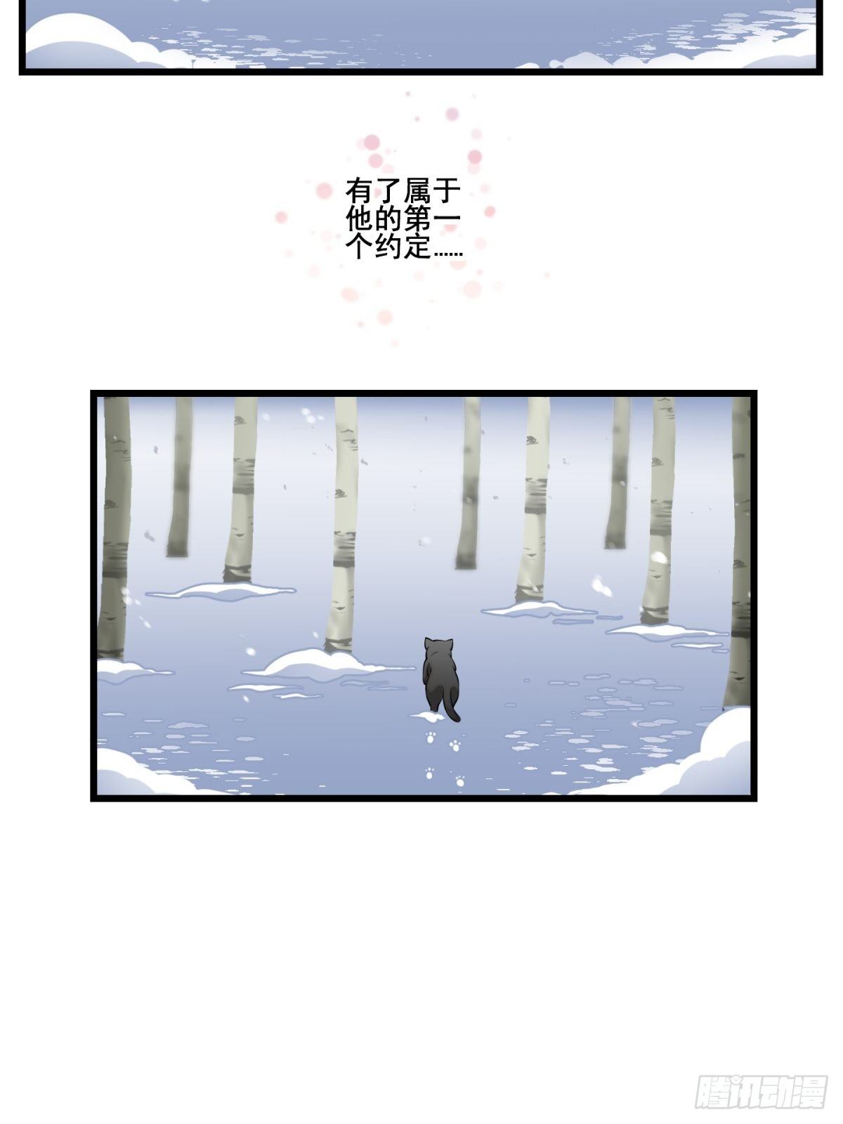 猫灵818