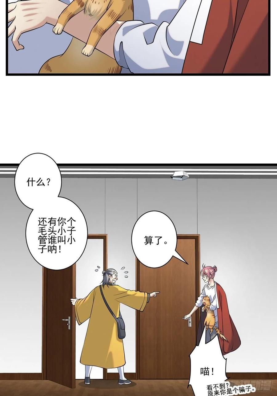 猫灵237