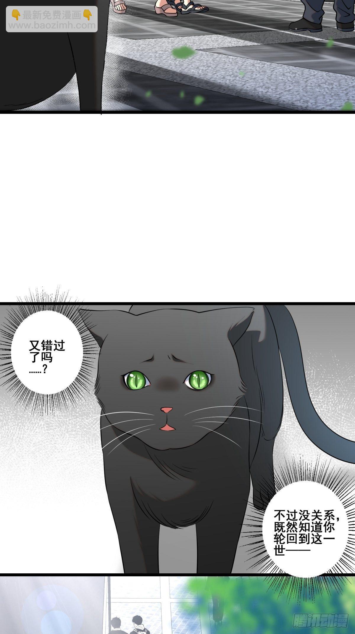 猫灵1113