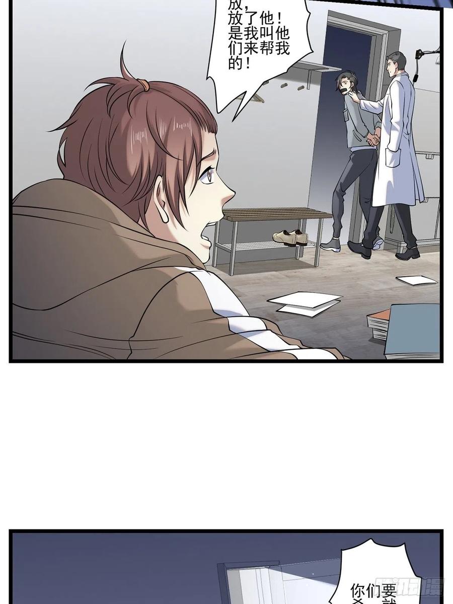 猫灵347
