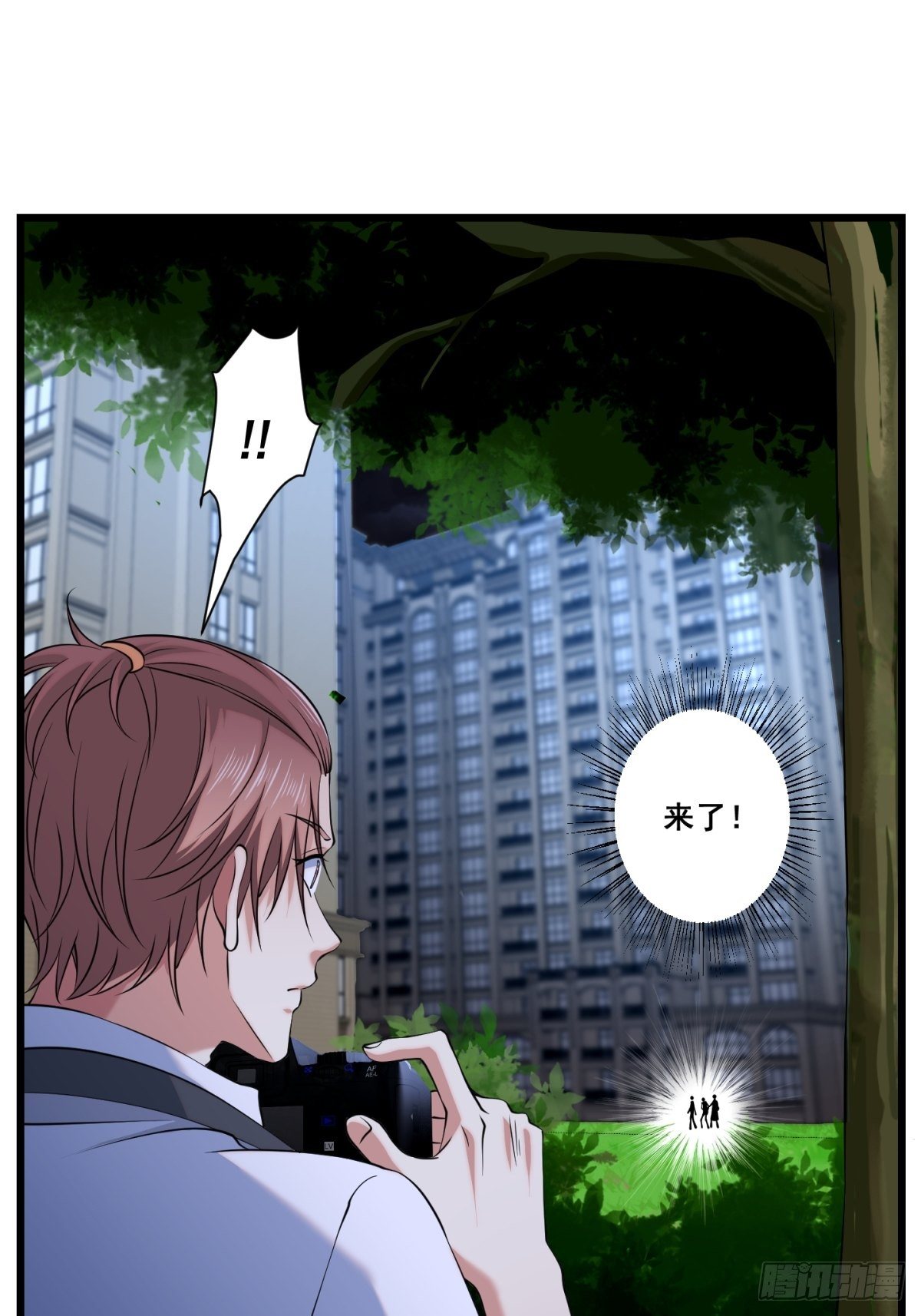 猫灵447