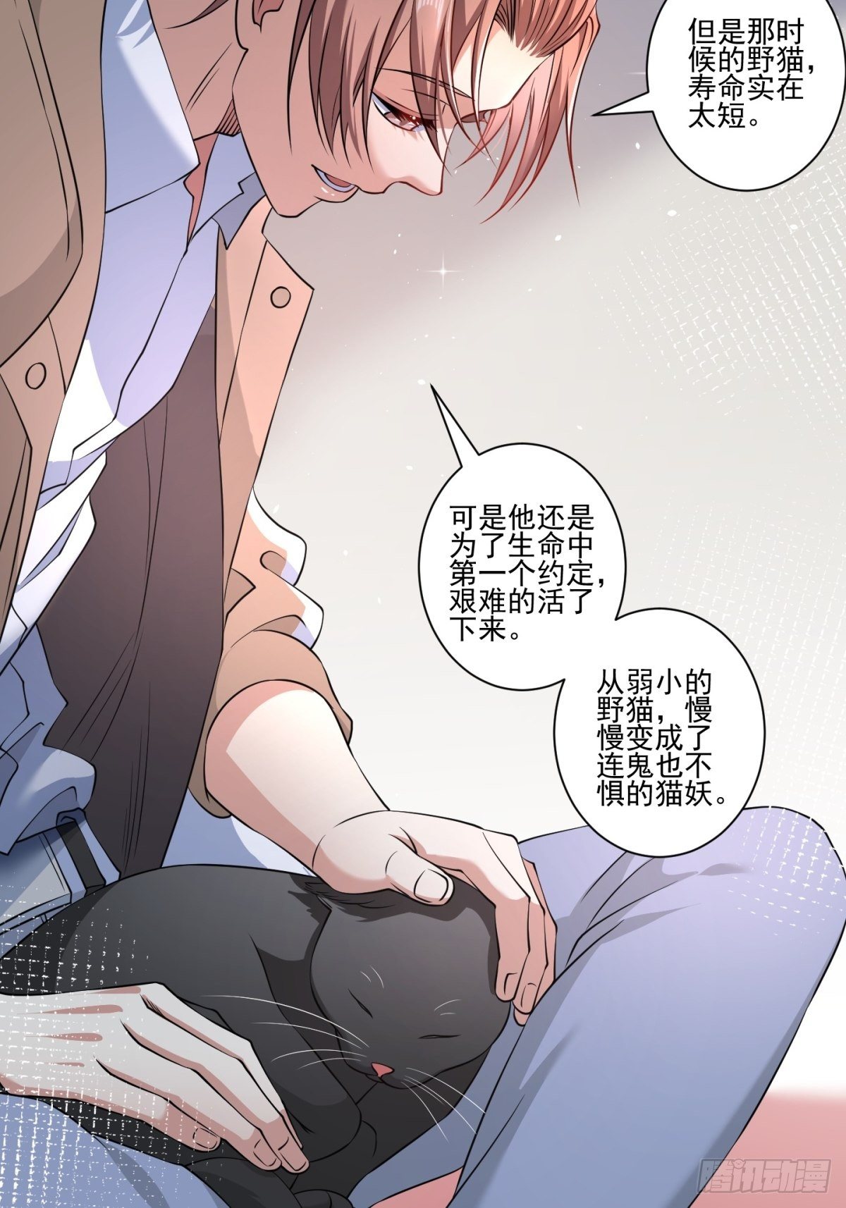 猫灵843