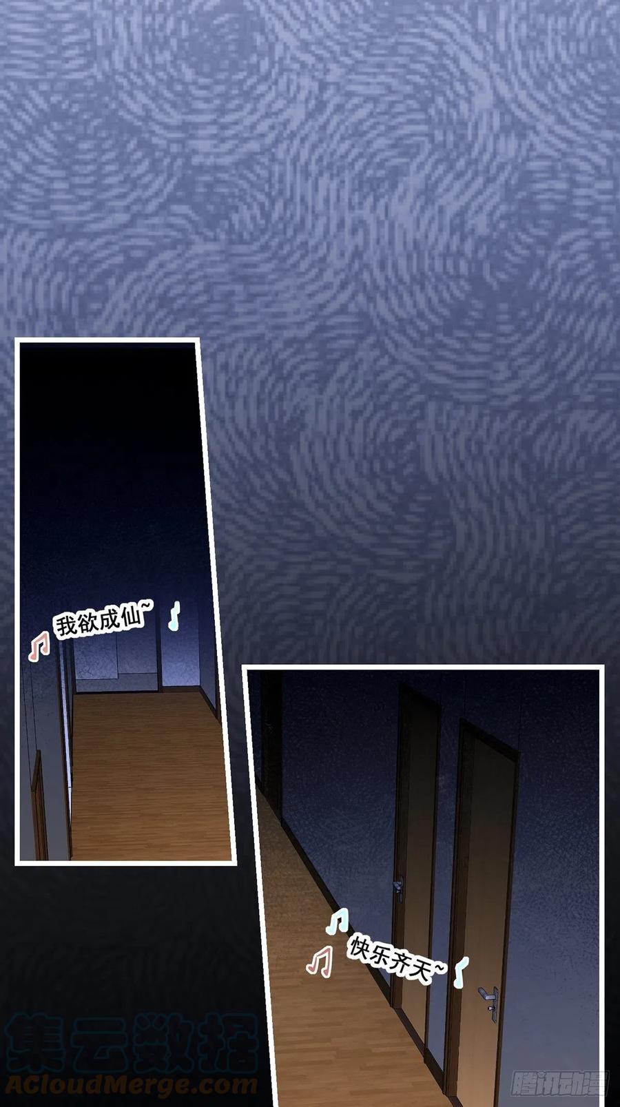 猫灵245