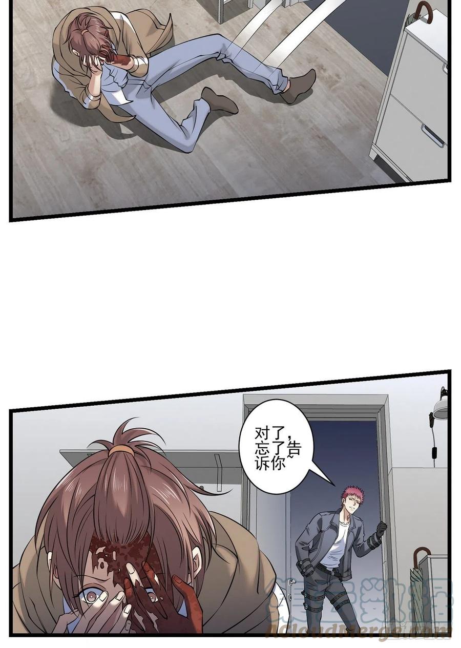 猫灵351