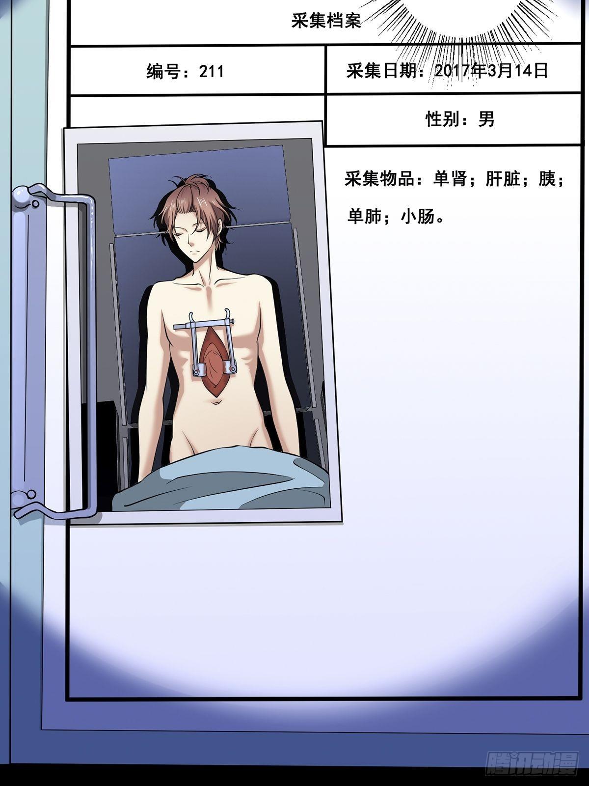 猫灵437