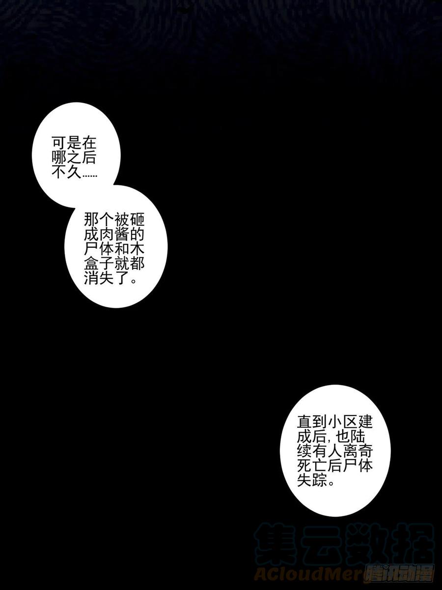 猫灵336