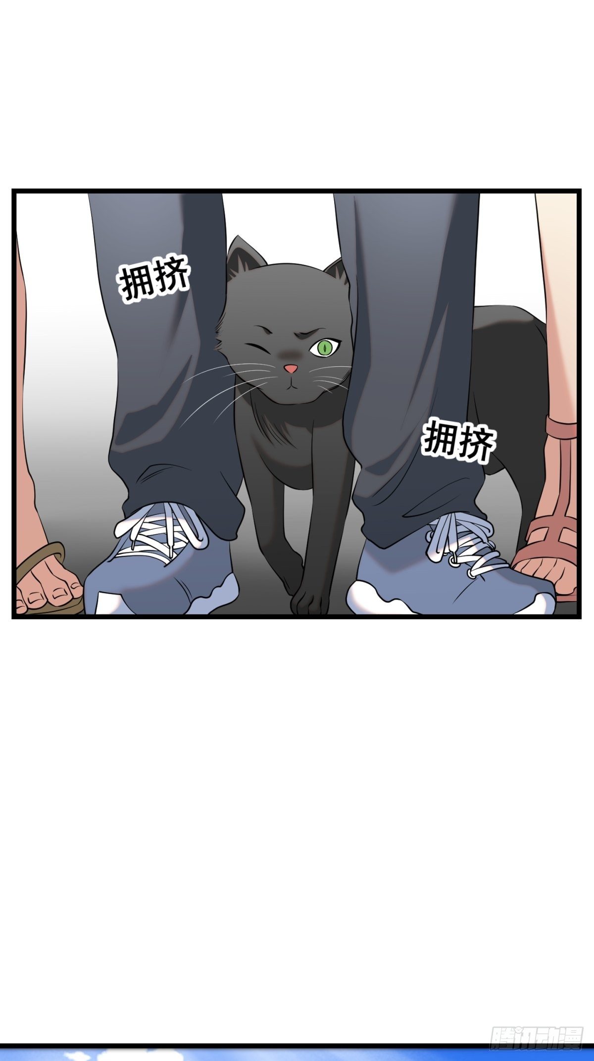 猫灵1111