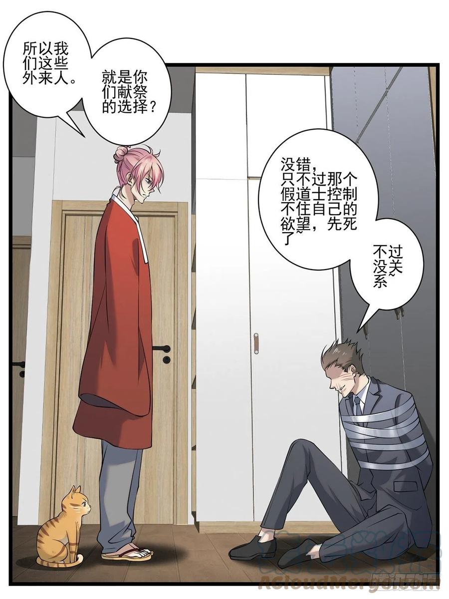猫灵339