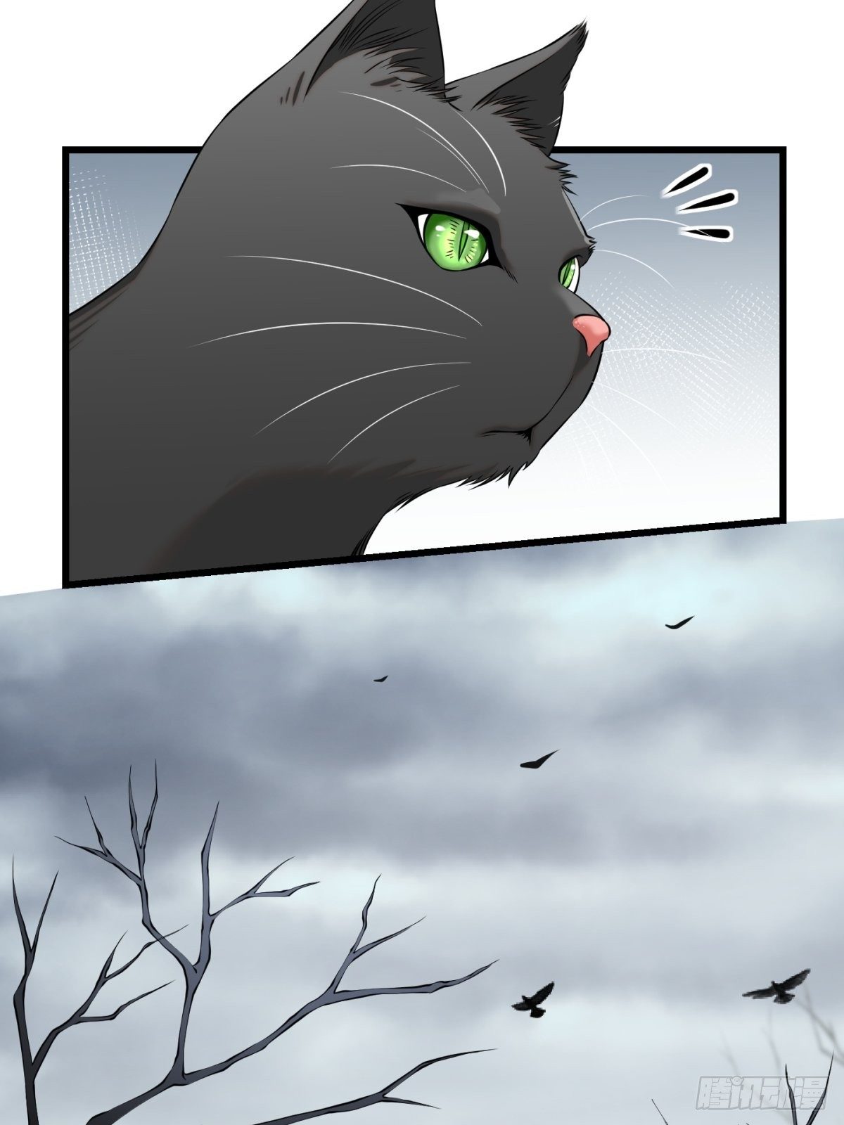 猫灵822
