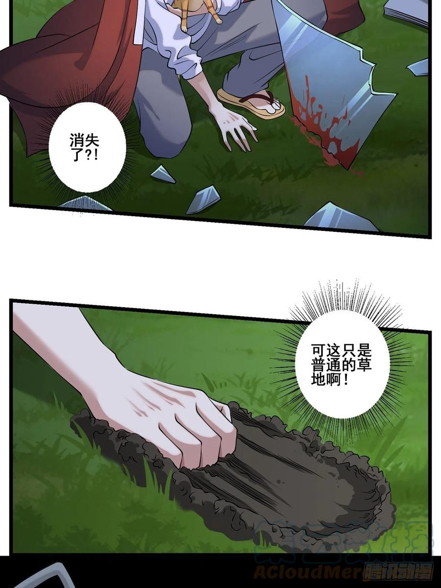 猫灵39