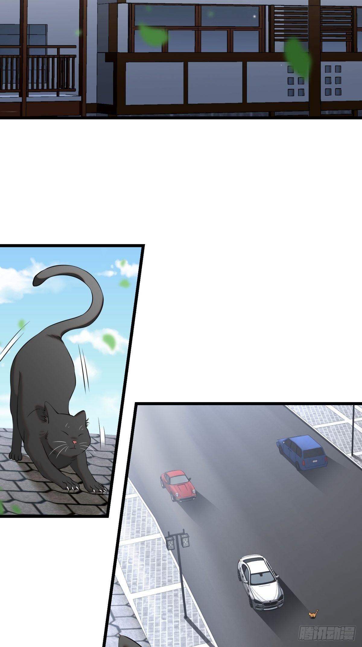 猫灵114