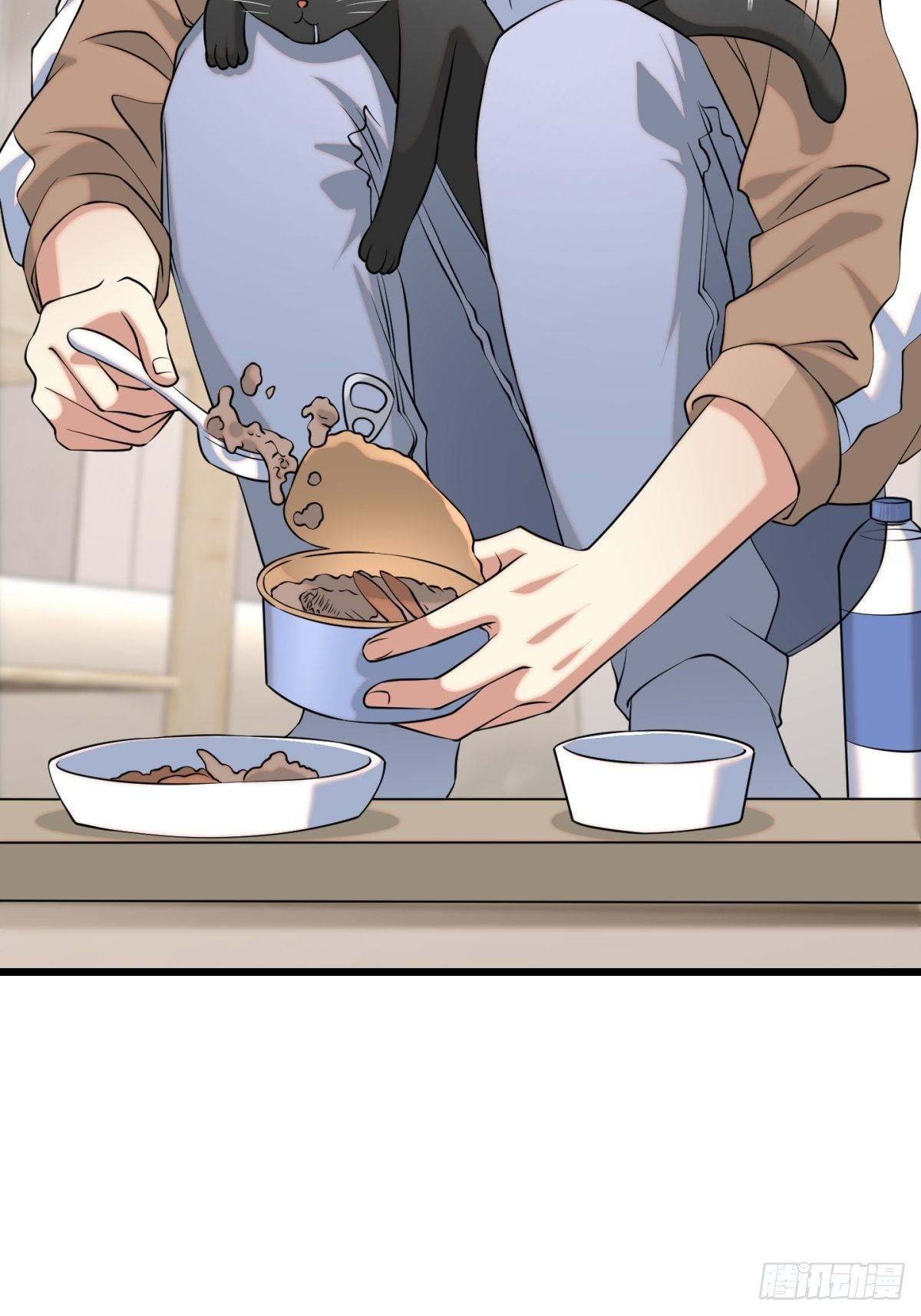 猫灵1129