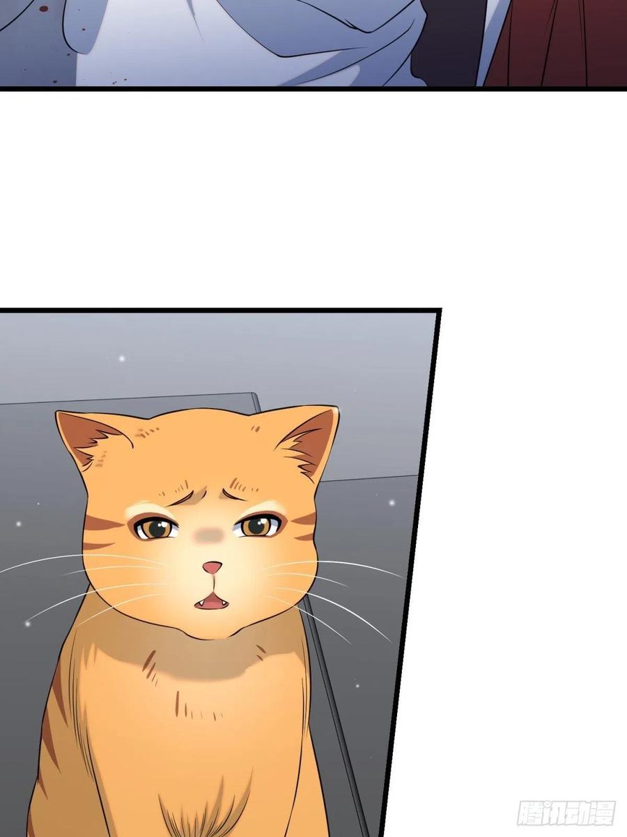 猫灵620